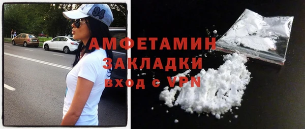 твердый Лагань