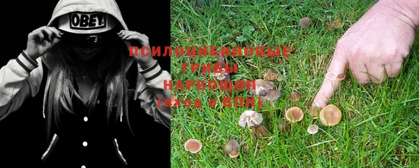 не бодяженный Корсаков