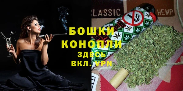 твердый Лагань
