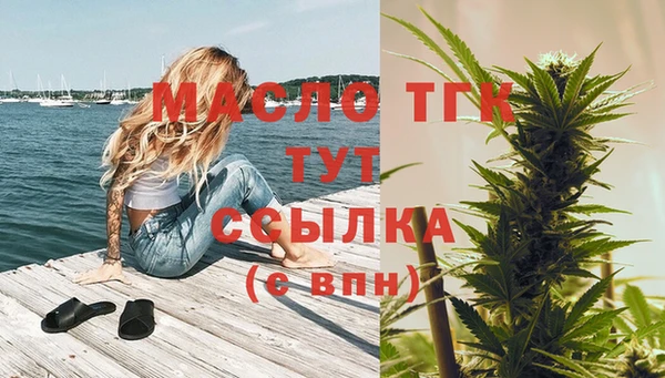 твердый Лагань