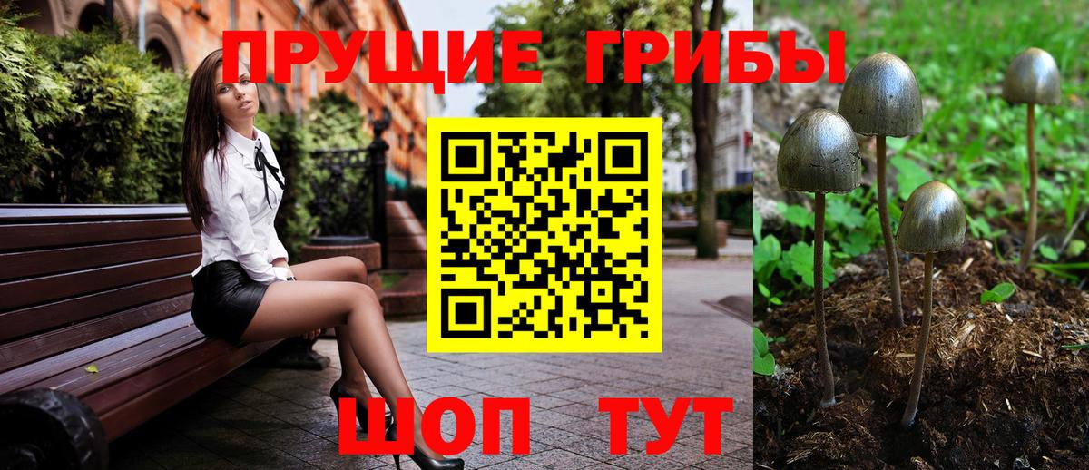 Псилоцибиновые грибы GOLDEN TEACHER Малгобек